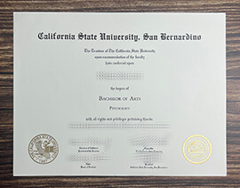 Make California State University, San Bernardino diploma.
