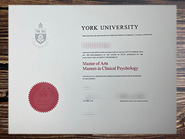 Purchase York University fake diploma.