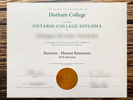 Purchase Durham College fake diploma.