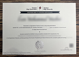 Buy Istanbul Bilgi University fake diploma, Make Istanbul Bilgi University diploma.