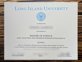 Purchase Long Island University fake diploma.