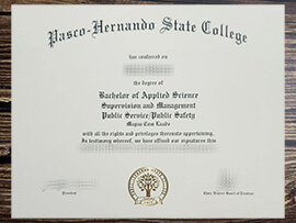 Get Pasco-Hernando State College fake diploma online.