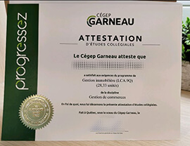 Obtain Cégep Garneau fake diploma online.
