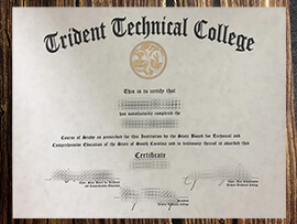 Get Trident Technical College fake diploma.