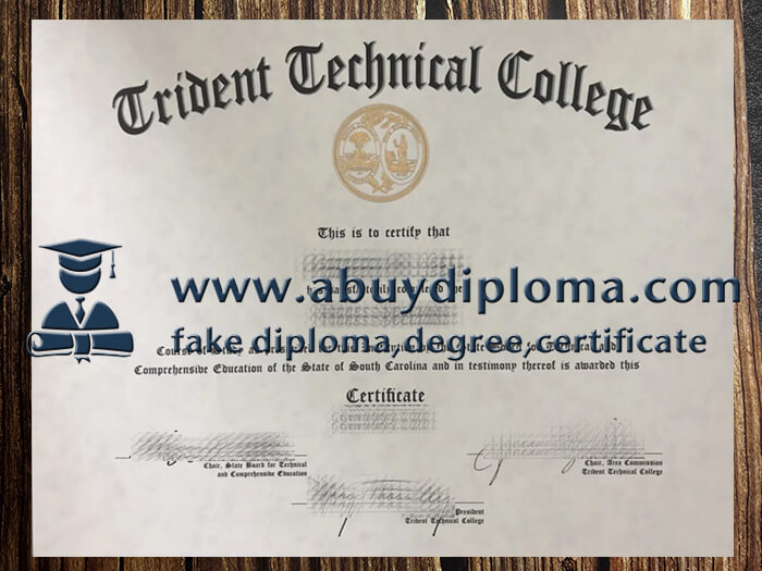 Buy Trident Technical College fake diploma, Fake TTC certificate.
