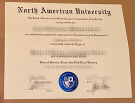 Obtain North American University fake diploma online.